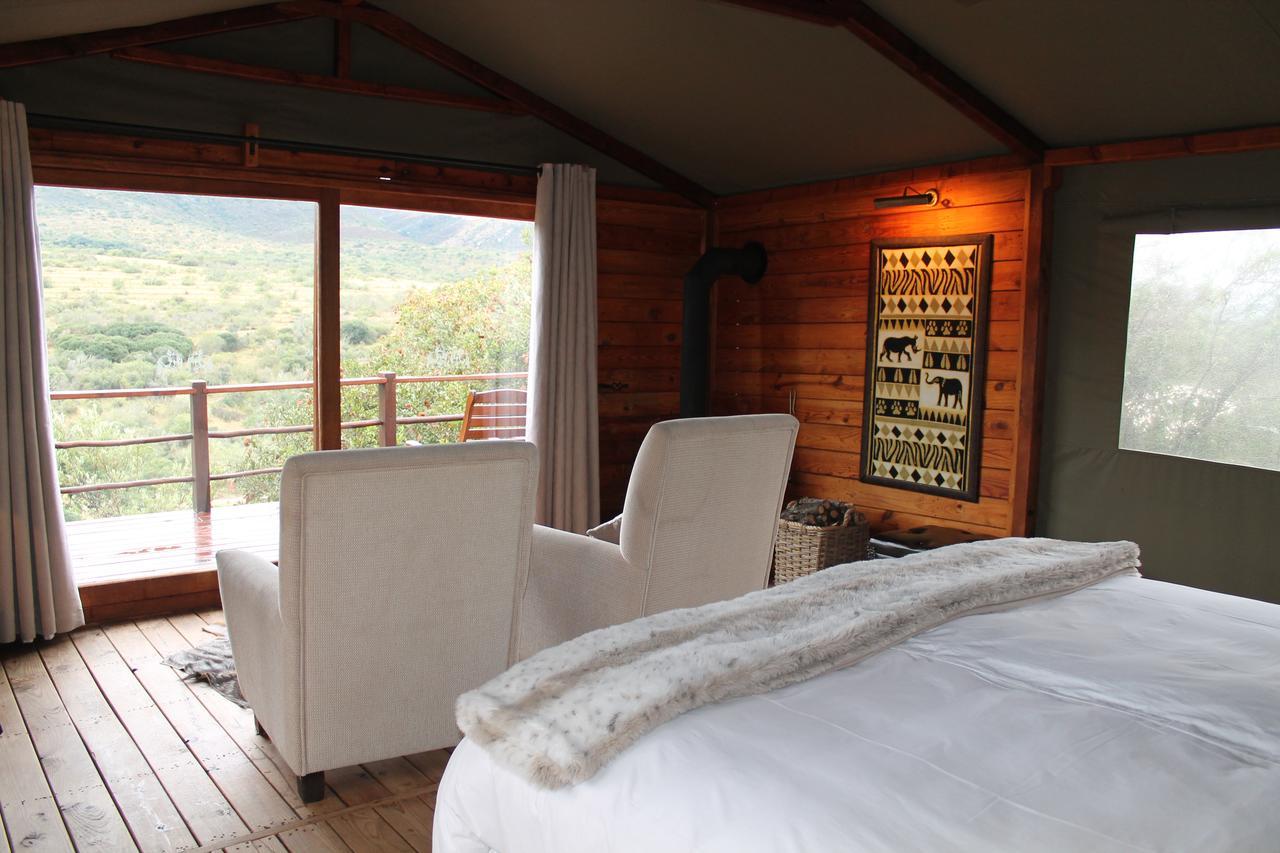Addo Elephant Lodge & Safaris Kirkwood Buitenkant foto