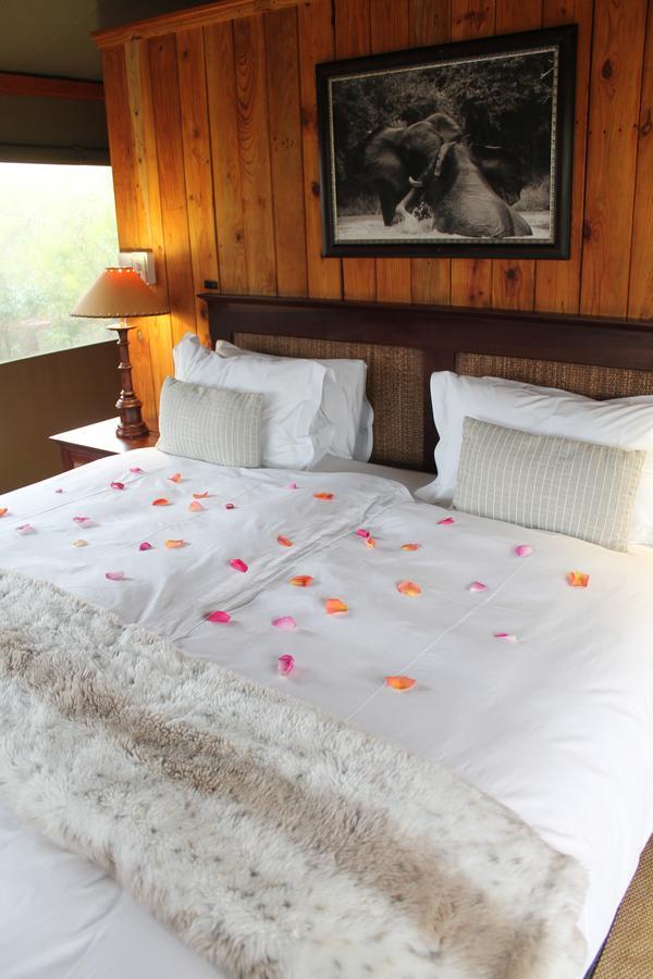 Addo Elephant Lodge & Safaris Kirkwood Buitenkant foto