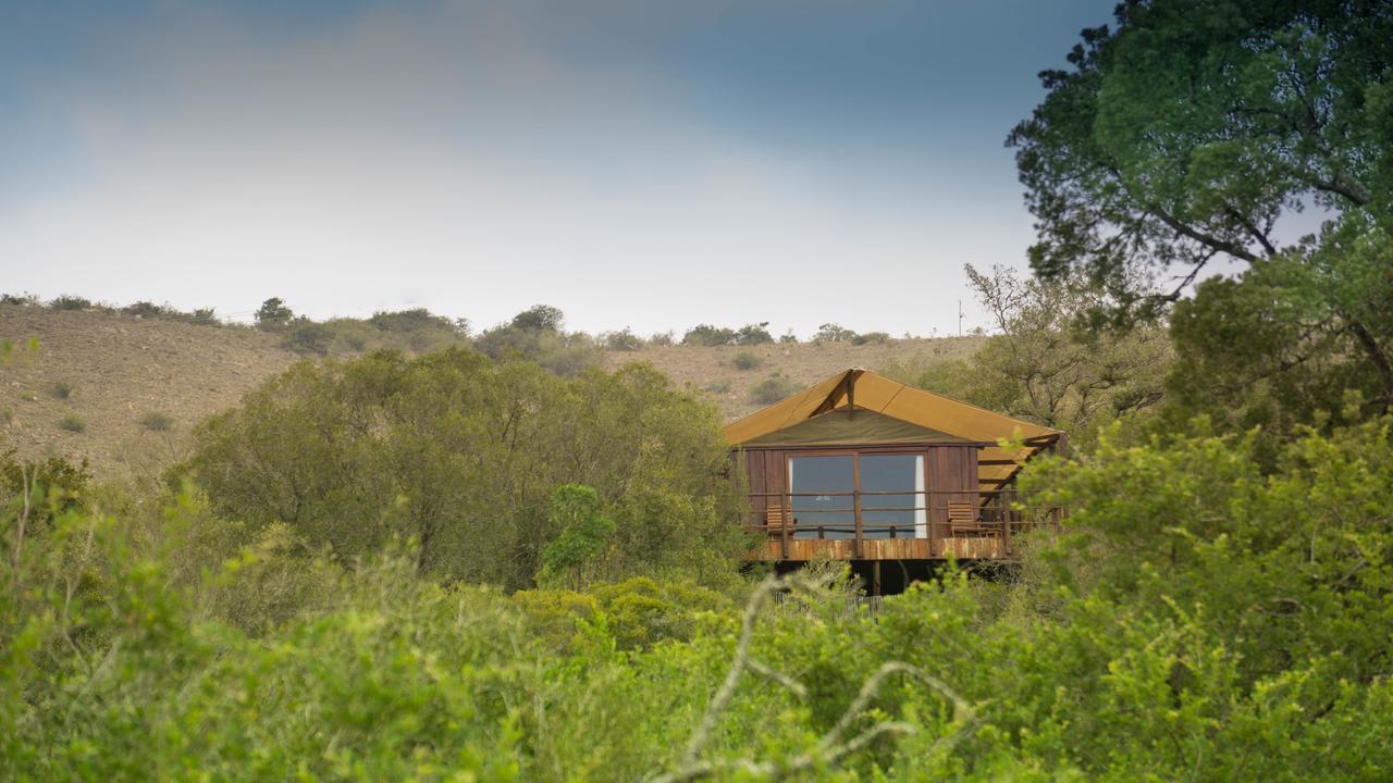 Addo Elephant Lodge & Safaris Kirkwood Buitenkant foto