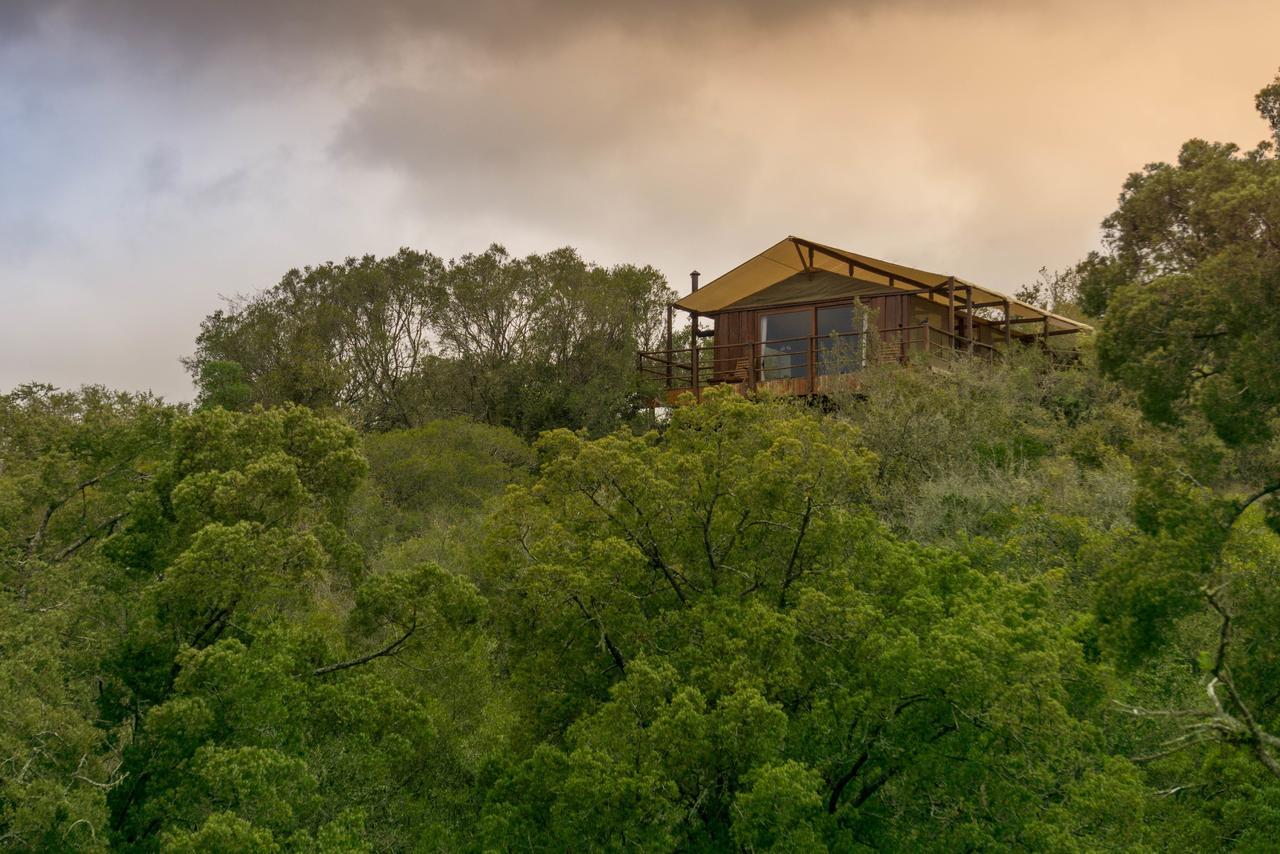 Addo Elephant Lodge & Safaris Kirkwood Buitenkant foto