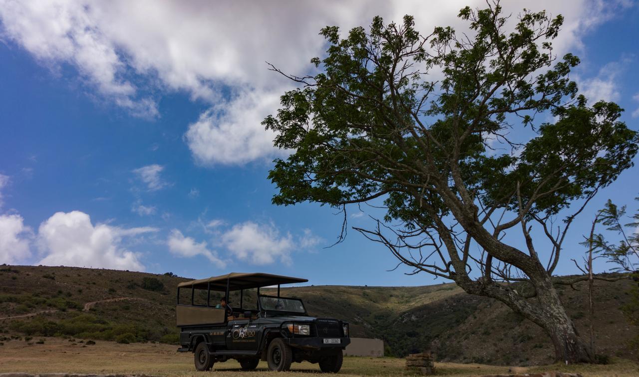 Addo Elephant Lodge & Safaris Kirkwood Buitenkant foto