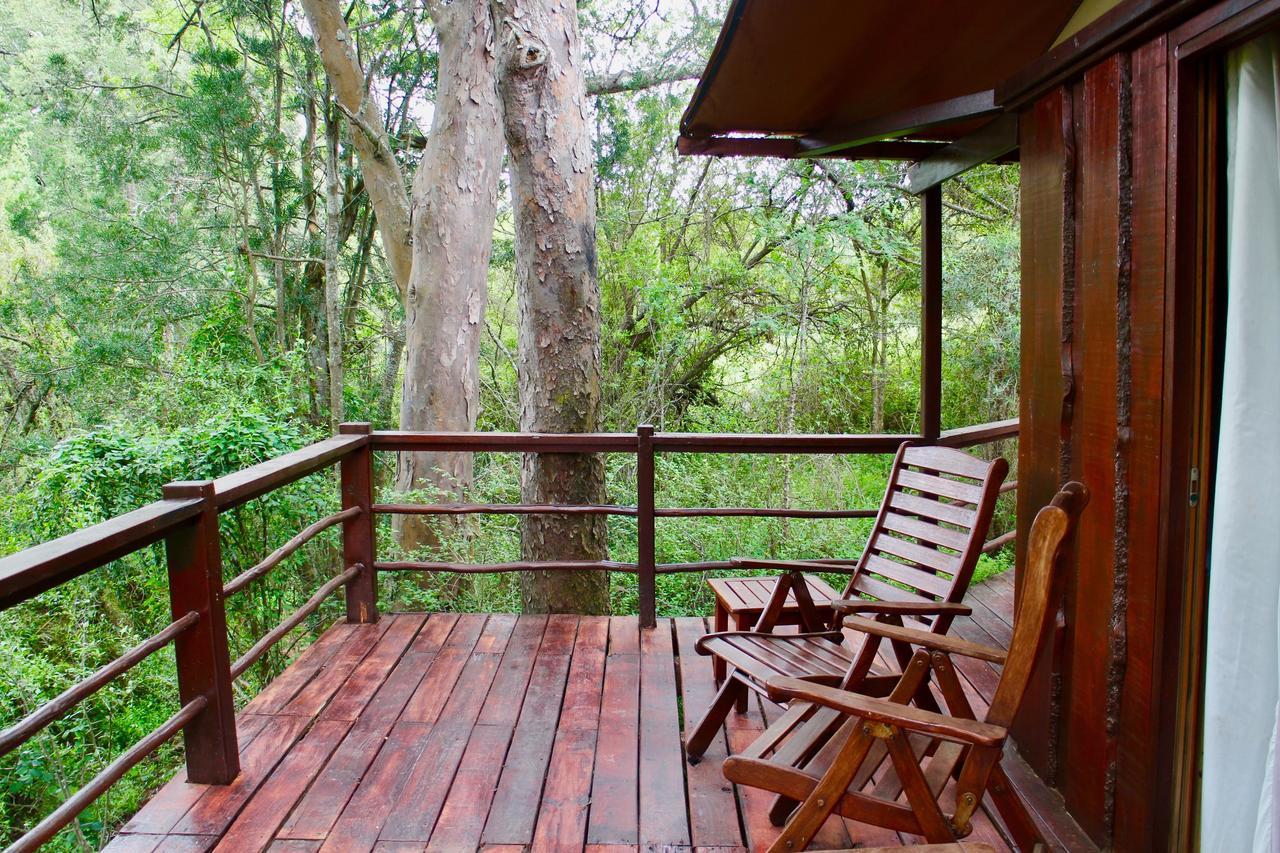 Addo Elephant Lodge & Safaris Kirkwood Buitenkant foto