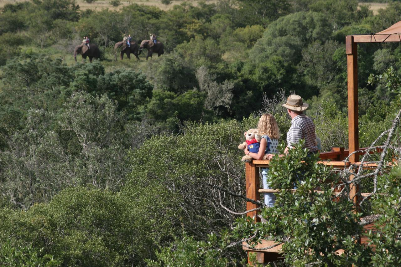 Addo Elephant Lodge & Safaris Kirkwood Buitenkant foto